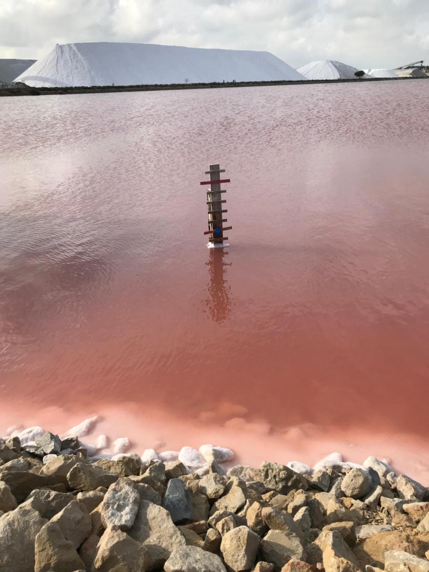 Le Clos Des Vignes Junas Eksteriør bilde