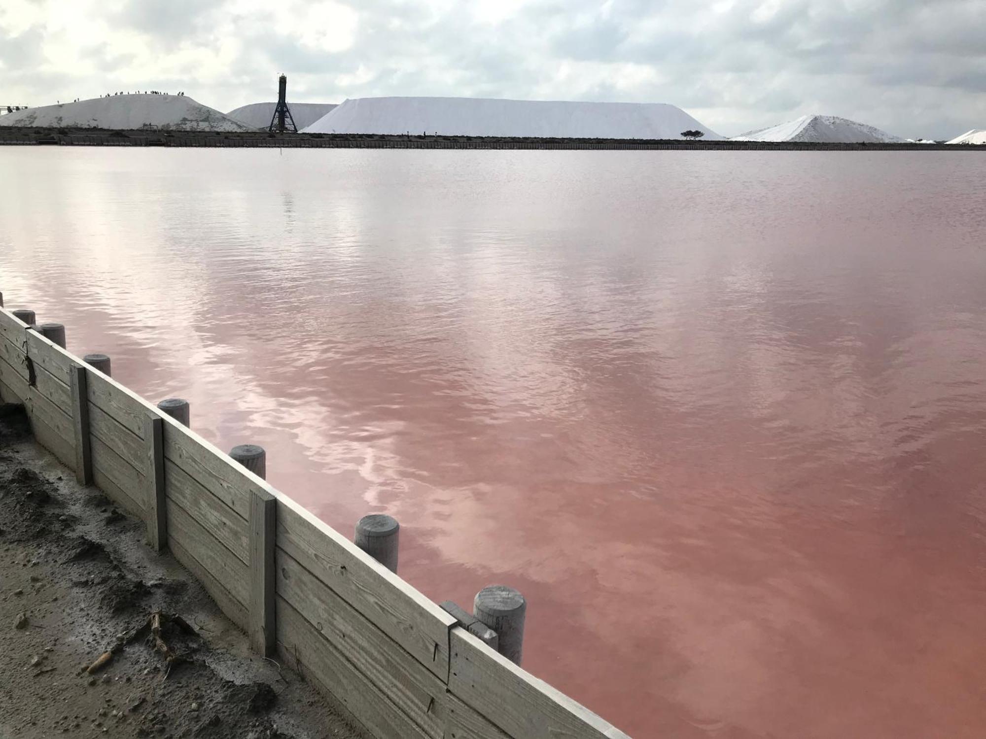 Le Clos Des Vignes Junas Eksteriør bilde